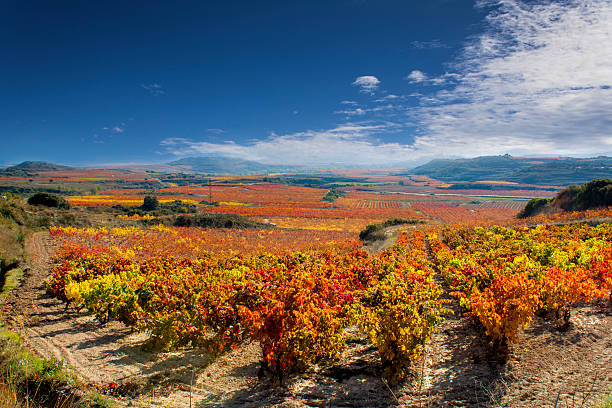 LA RIOJA